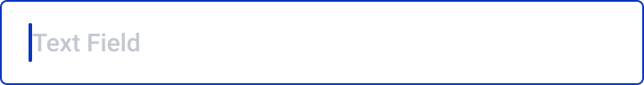 Text input in its focused state